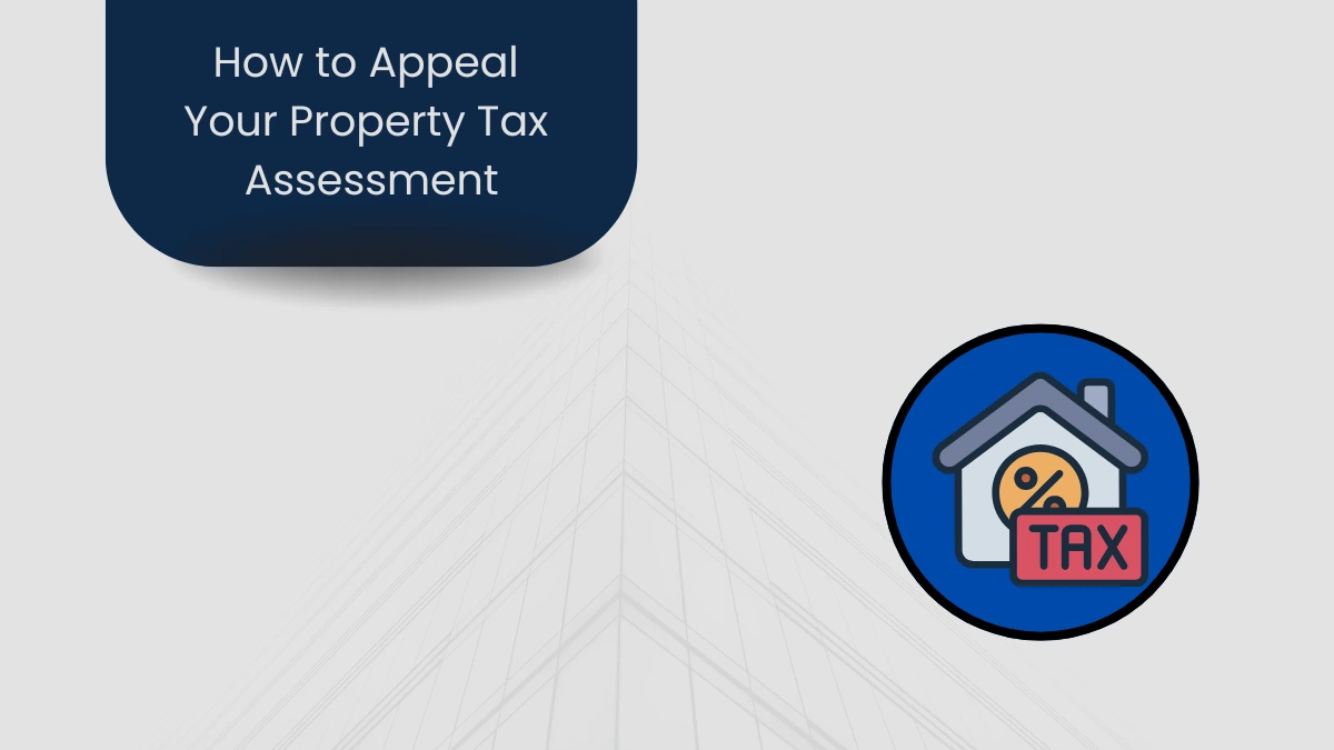 Learn the steps and evidence needed to appeal property tax assessments and potentially save on your tax bill in the USA.